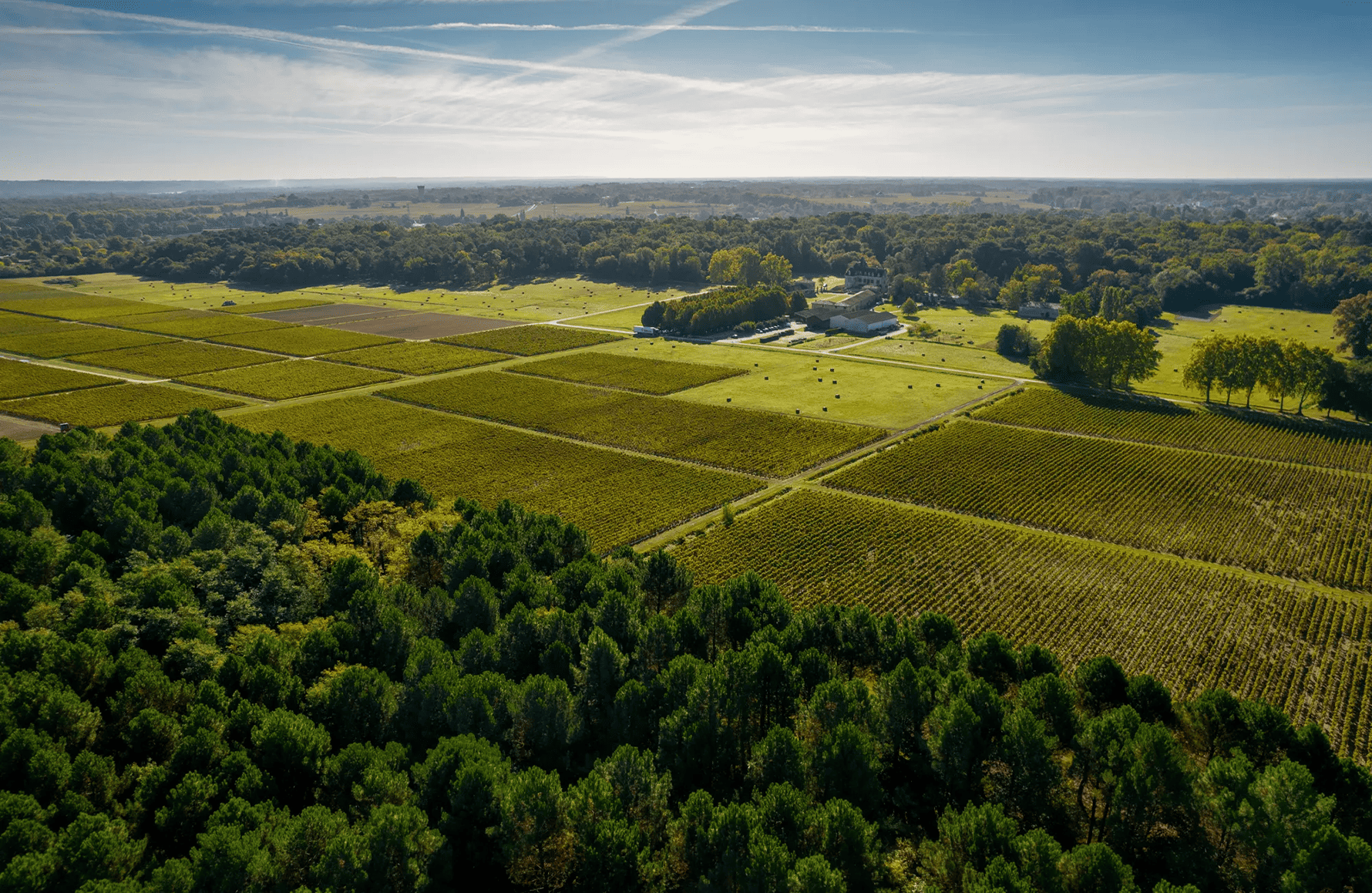 die Geschichte der Château Olivier