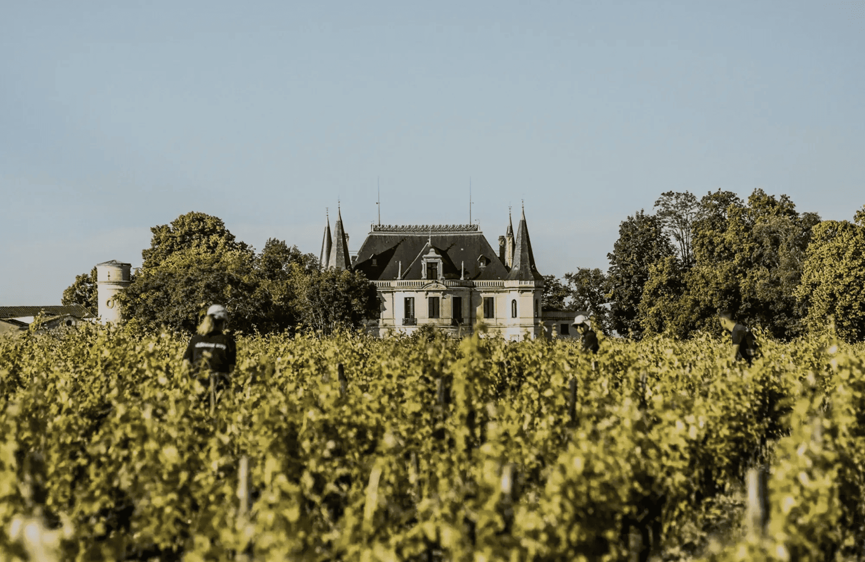 die Geschichte der Château Palmer