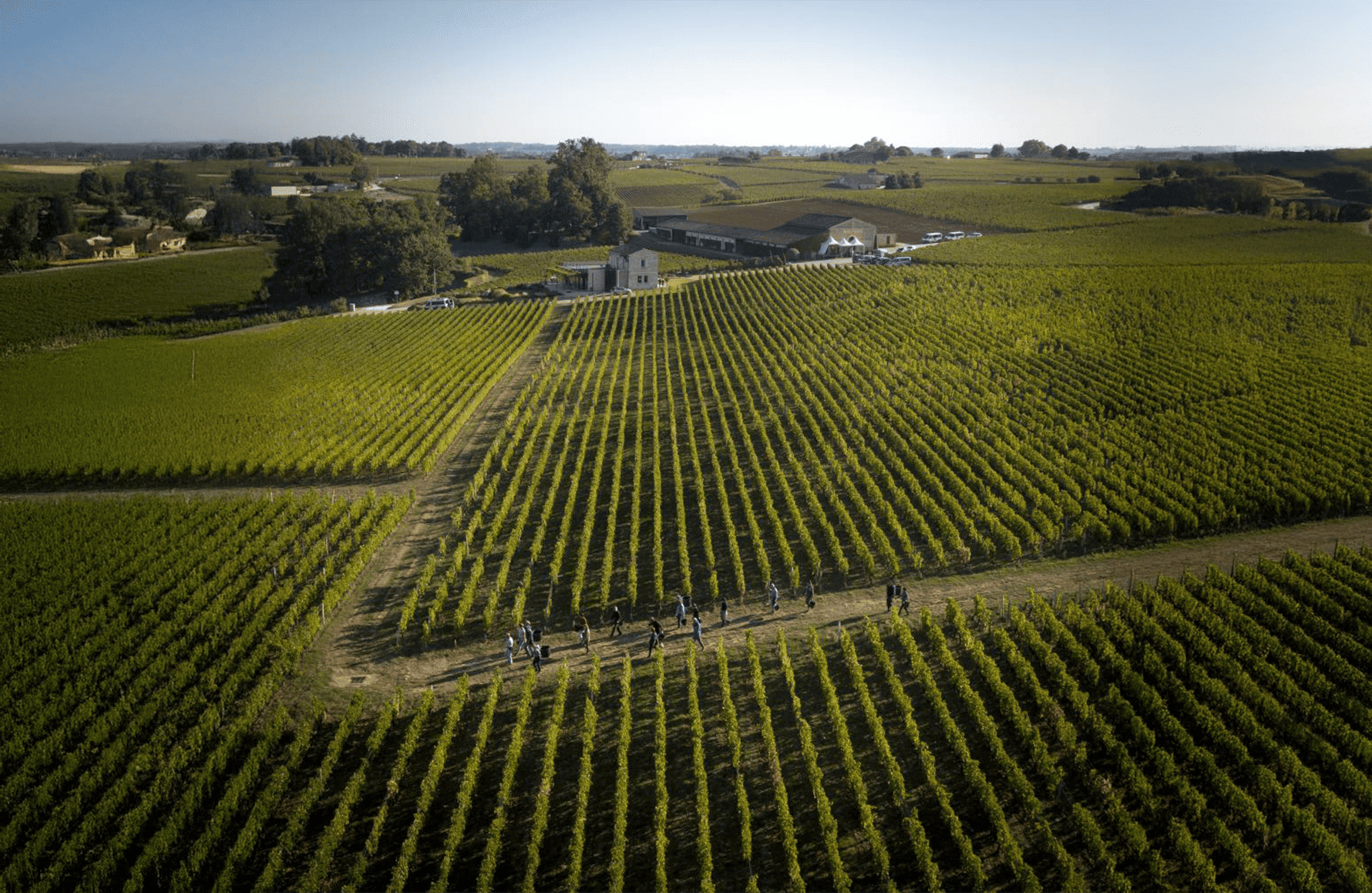 die Geschichte der Château Pavie Macquin