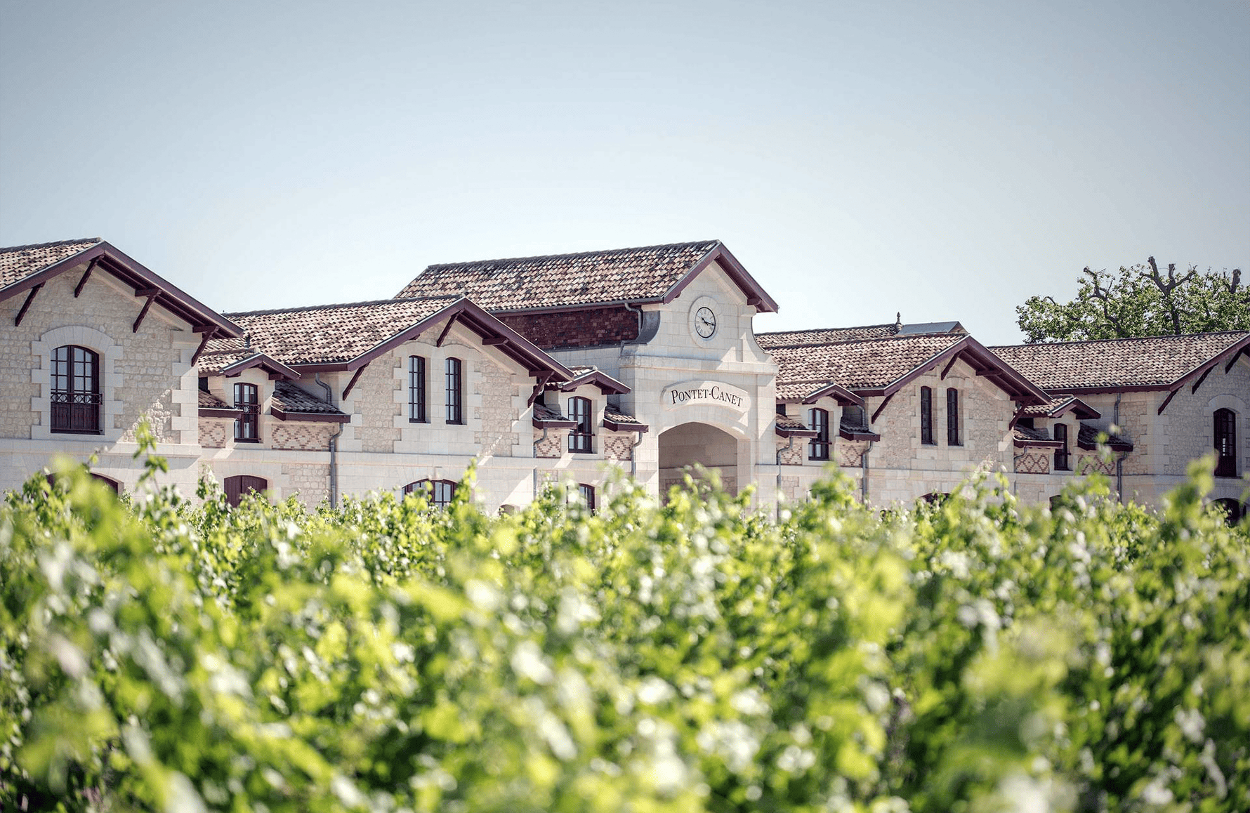 die Geschichte der Château Pontet-Canet