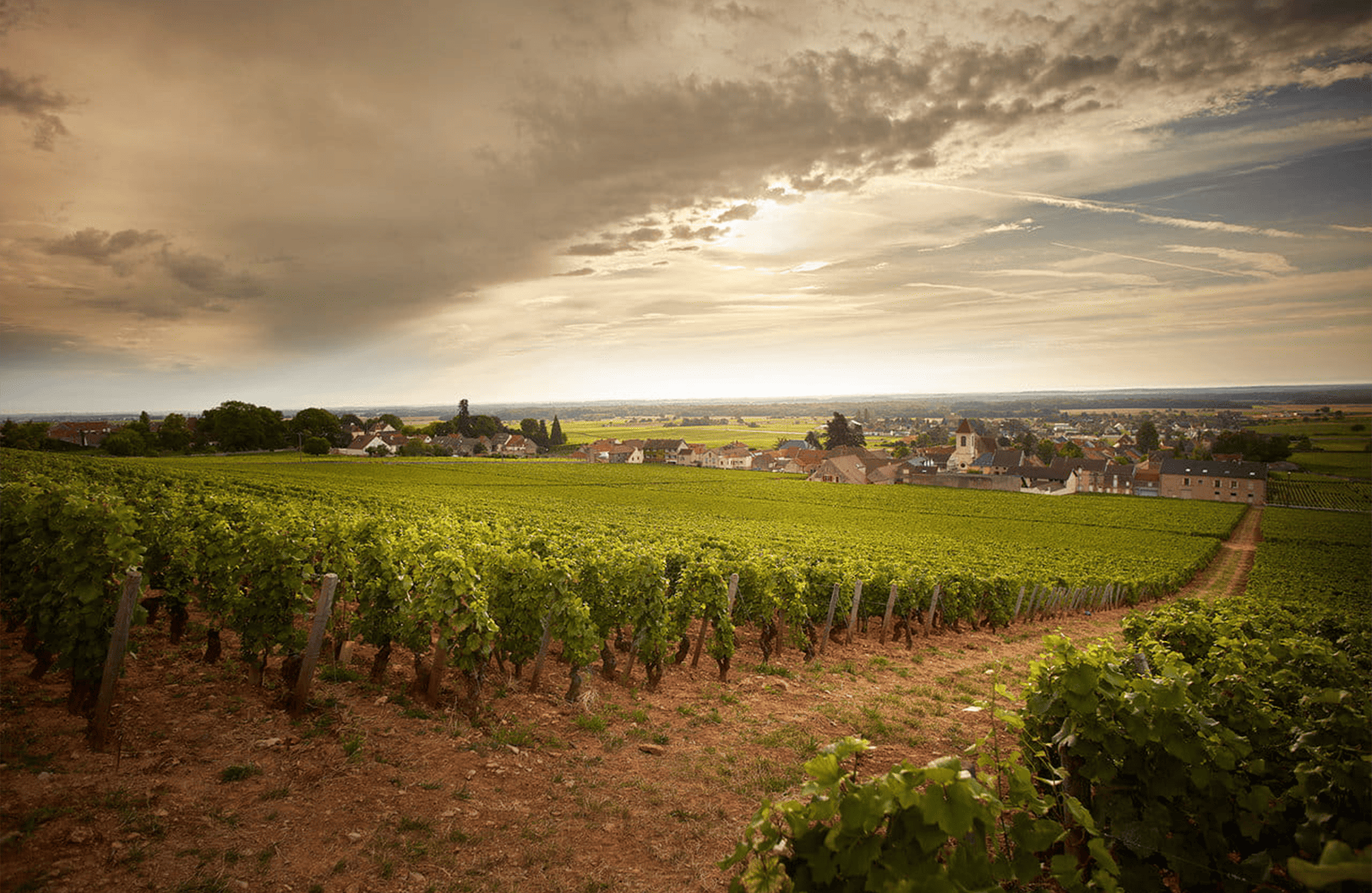 die Geschichte der Clos de Tart