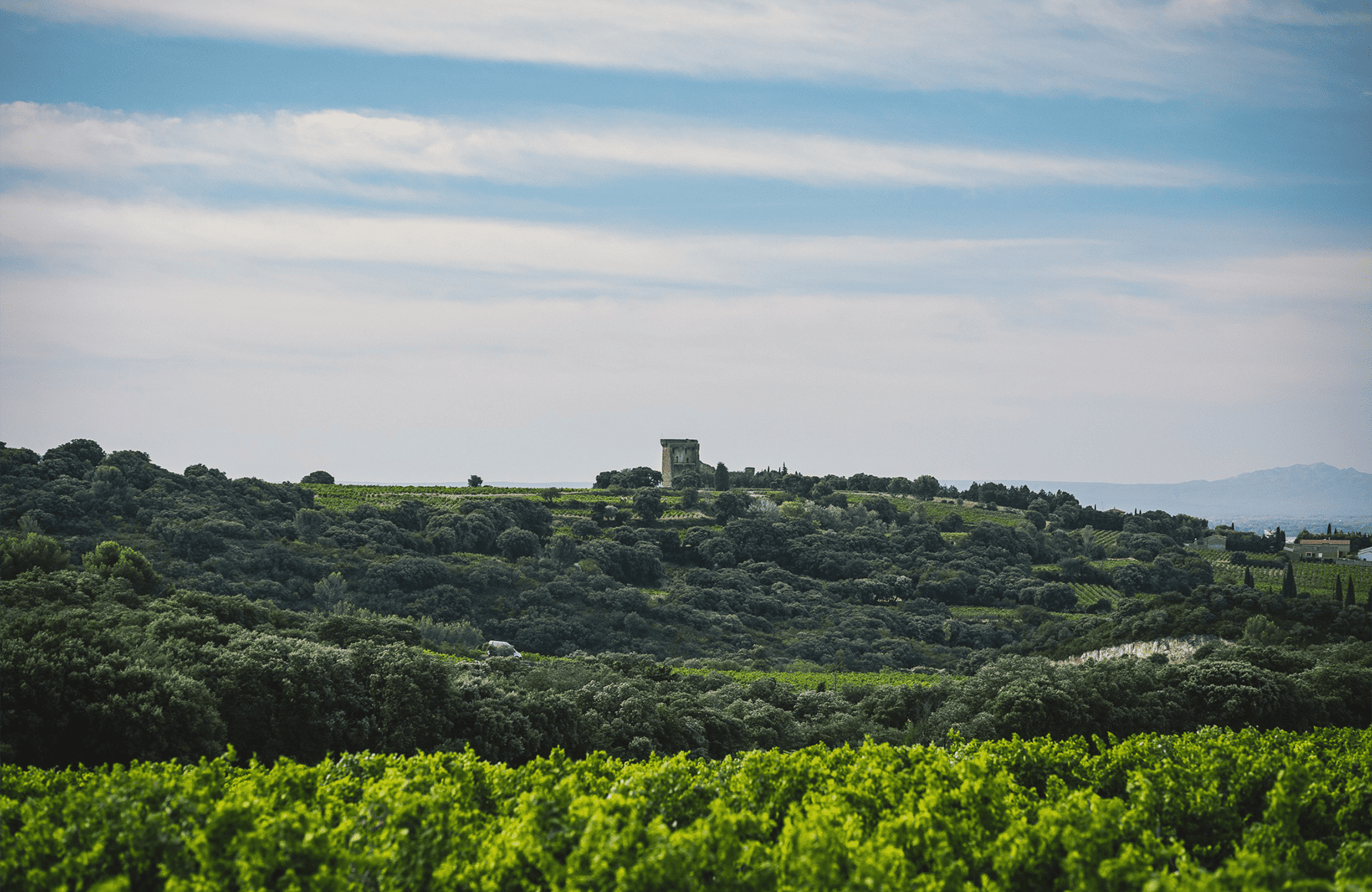die Geschichte der Clos Saint-Jean