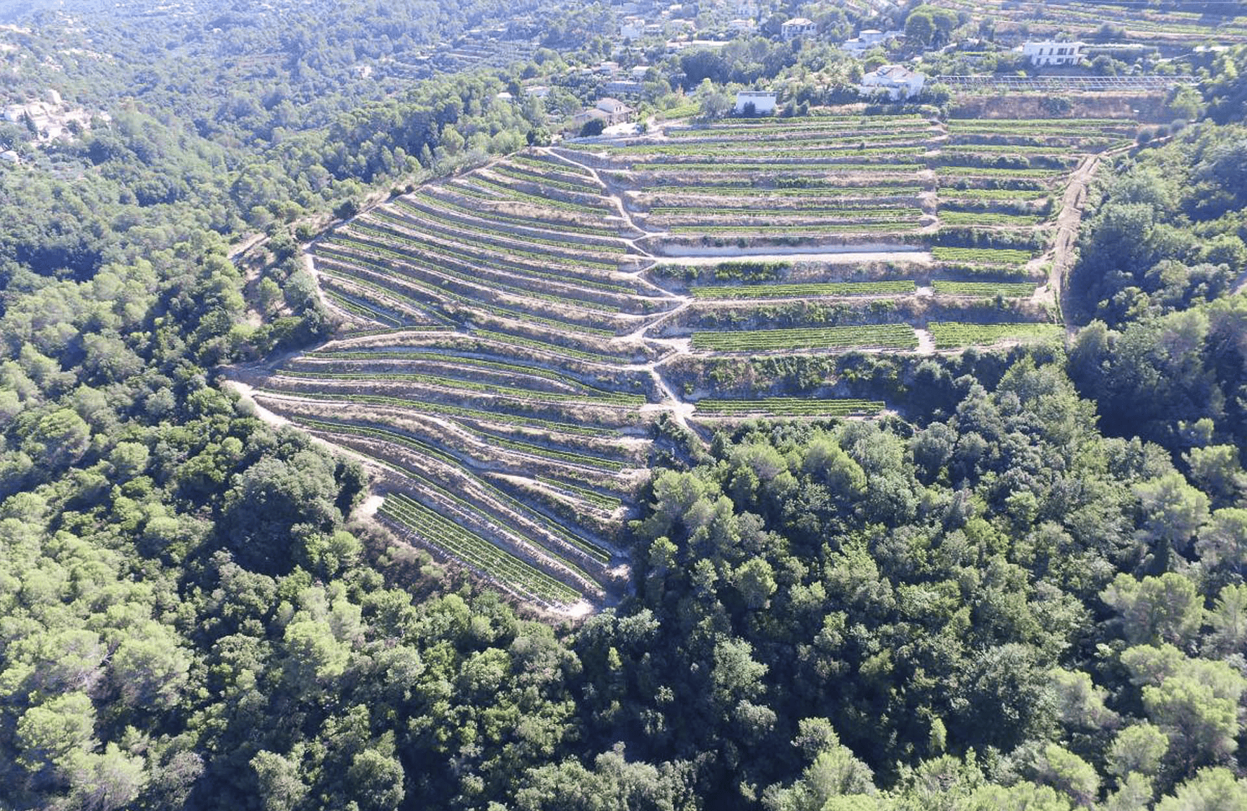 die Geschichte der Clos Saint Vincent