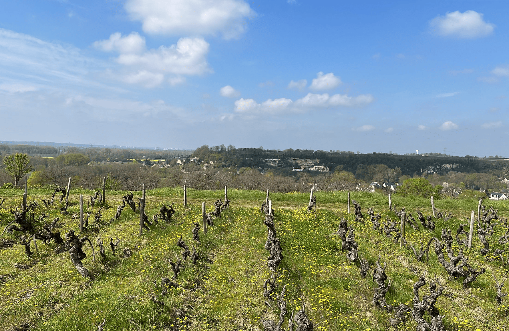 die Geschichte der Clos Thierrière