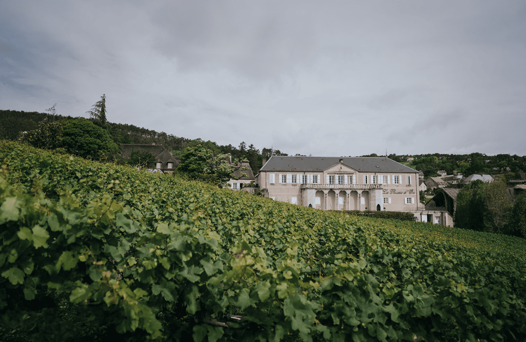 die Geschichte der Weingut La Pousse d'Or
