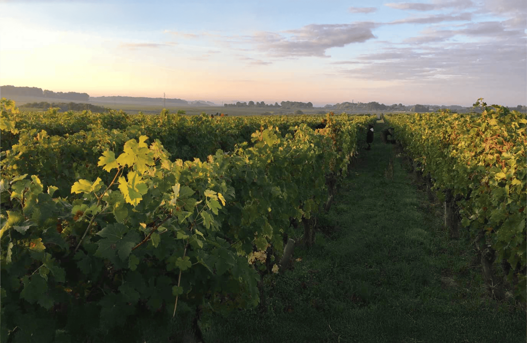 die Geschichte der New Rocks Anwesen