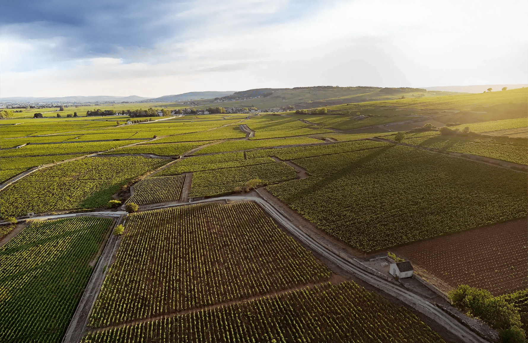 die Geschichte der Joseph Drouhin