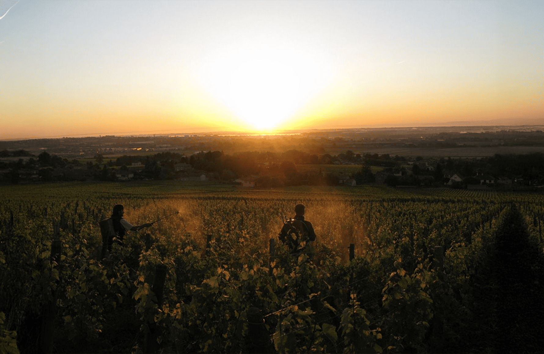 die Geschichte der Weingut La Soufrandière