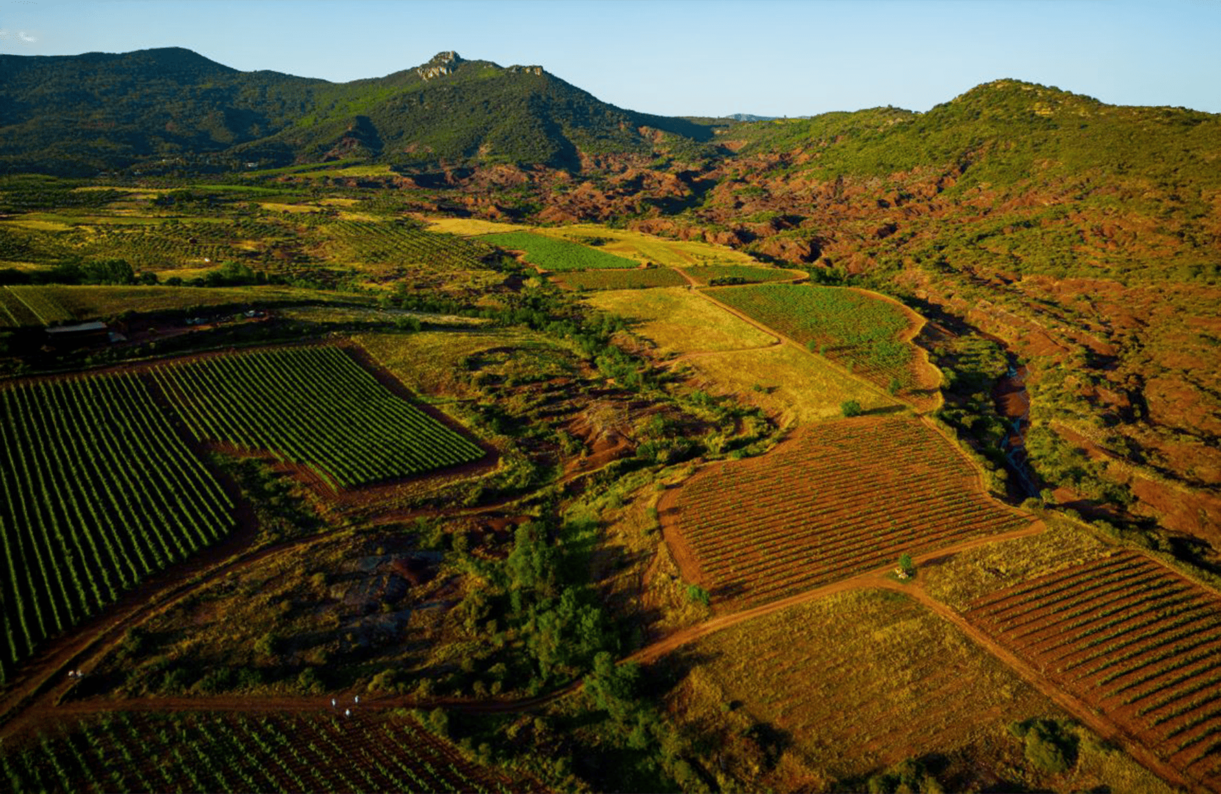 die Geschichte der Weingut Le Clos du Serres