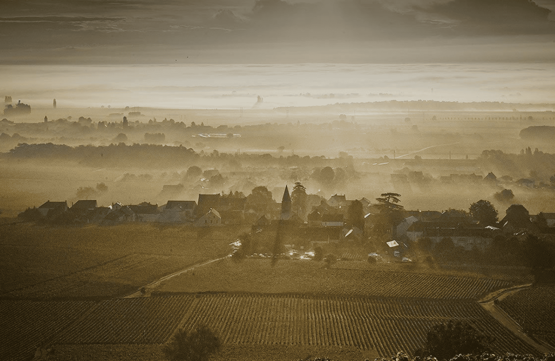 die Geschichte der Weingut Méo-Camuzet