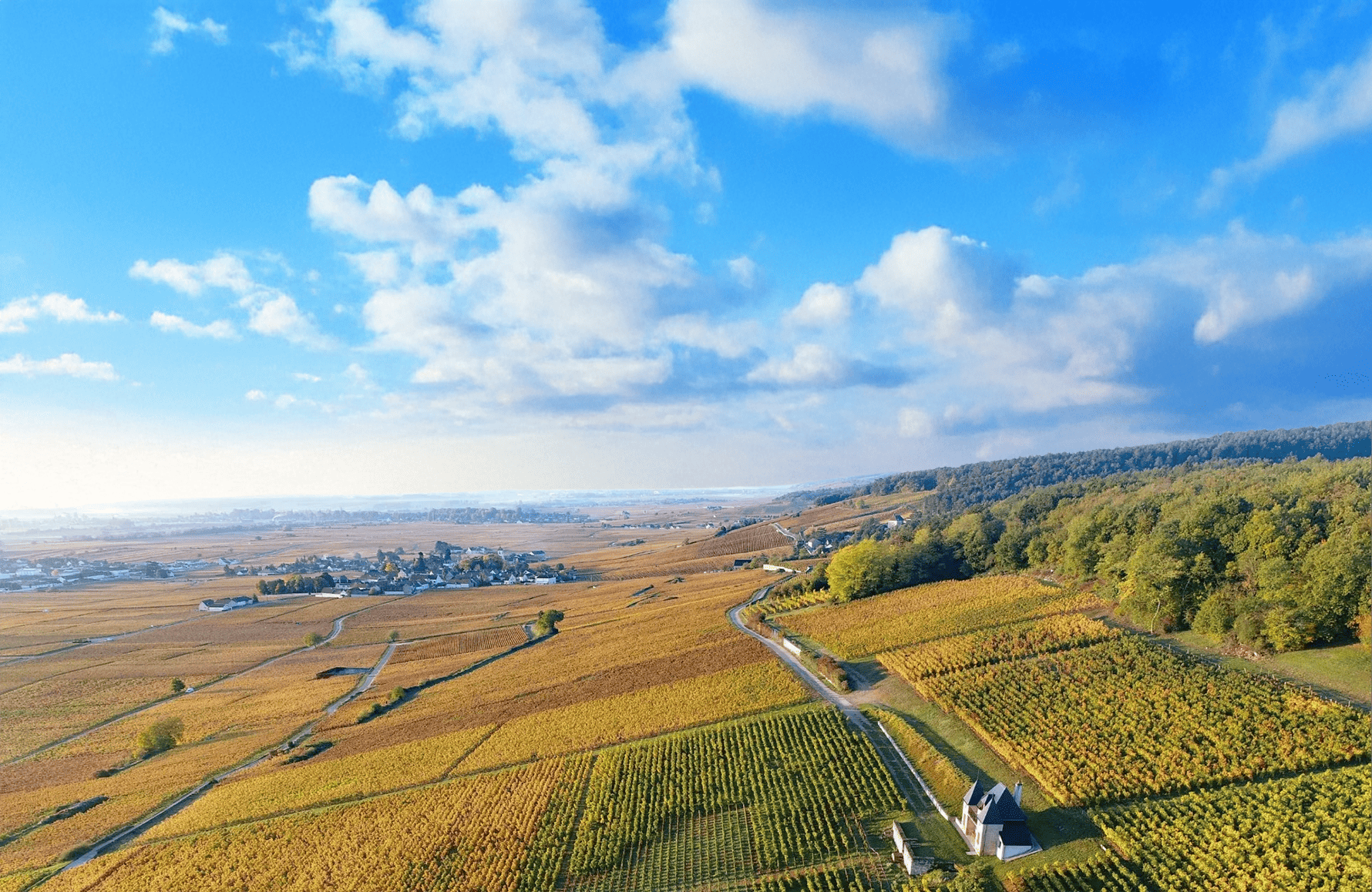 die Geschichte der Domaine Ponsot