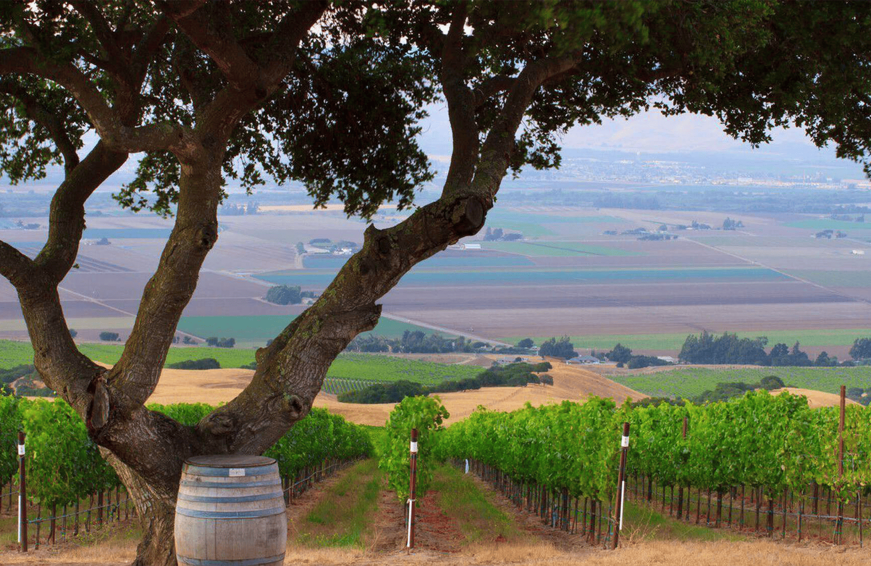 die Geschichte der Hahn Family Wines - Vereinigte Staaten