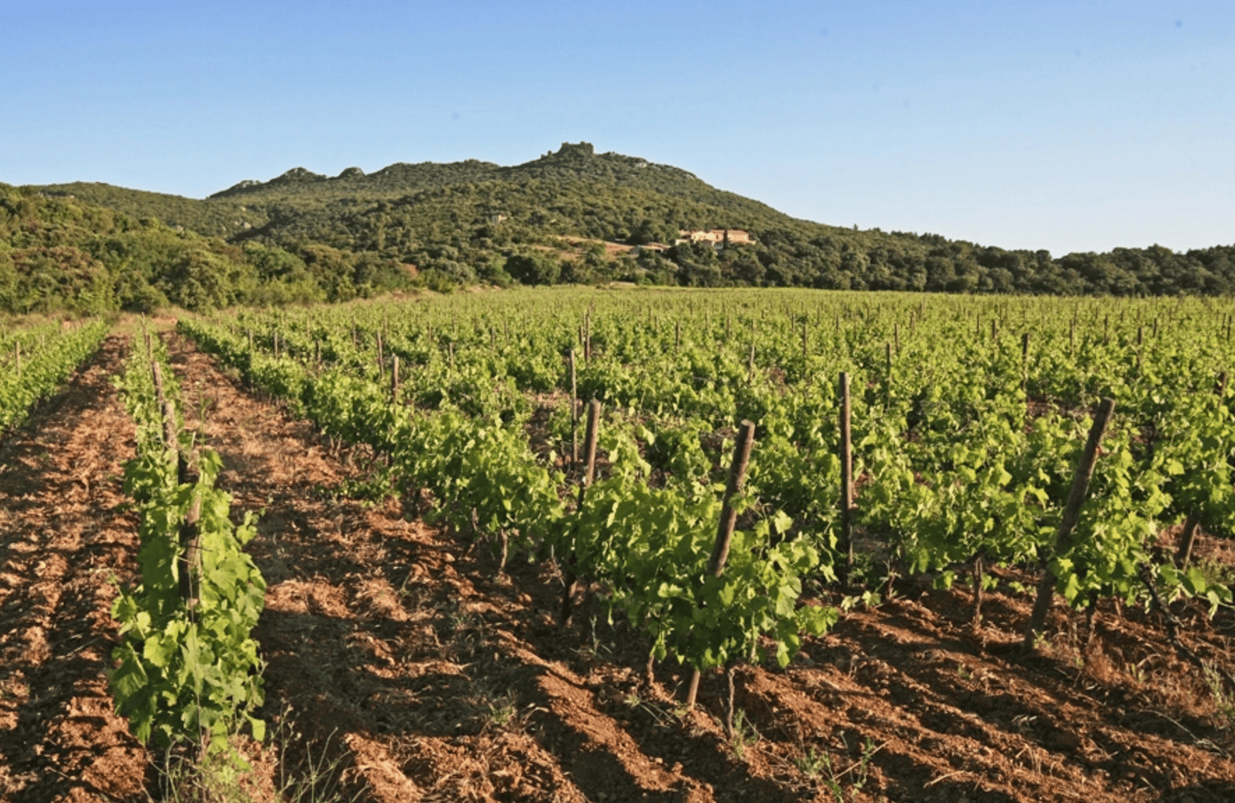 l’histoire du Ermitage du Pic Saint Loup
