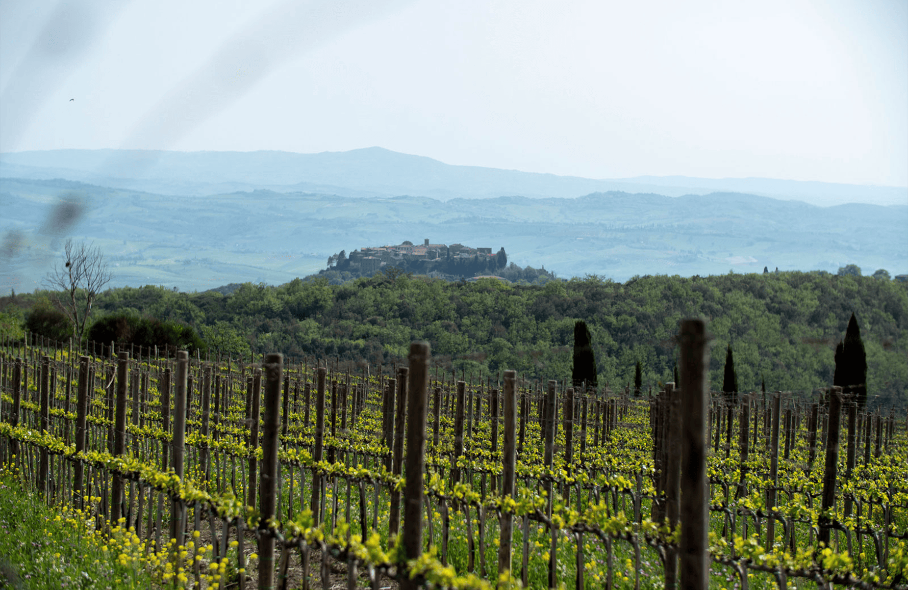 l’histoire du Poggio Antico - Italie
