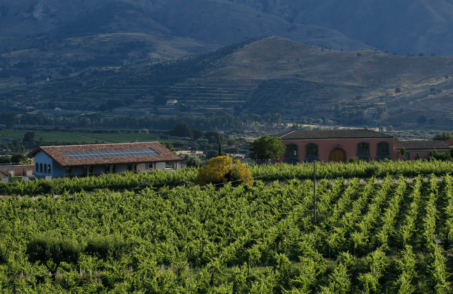 die Geschichte der Tenuta Delle Terre Nere - Italien