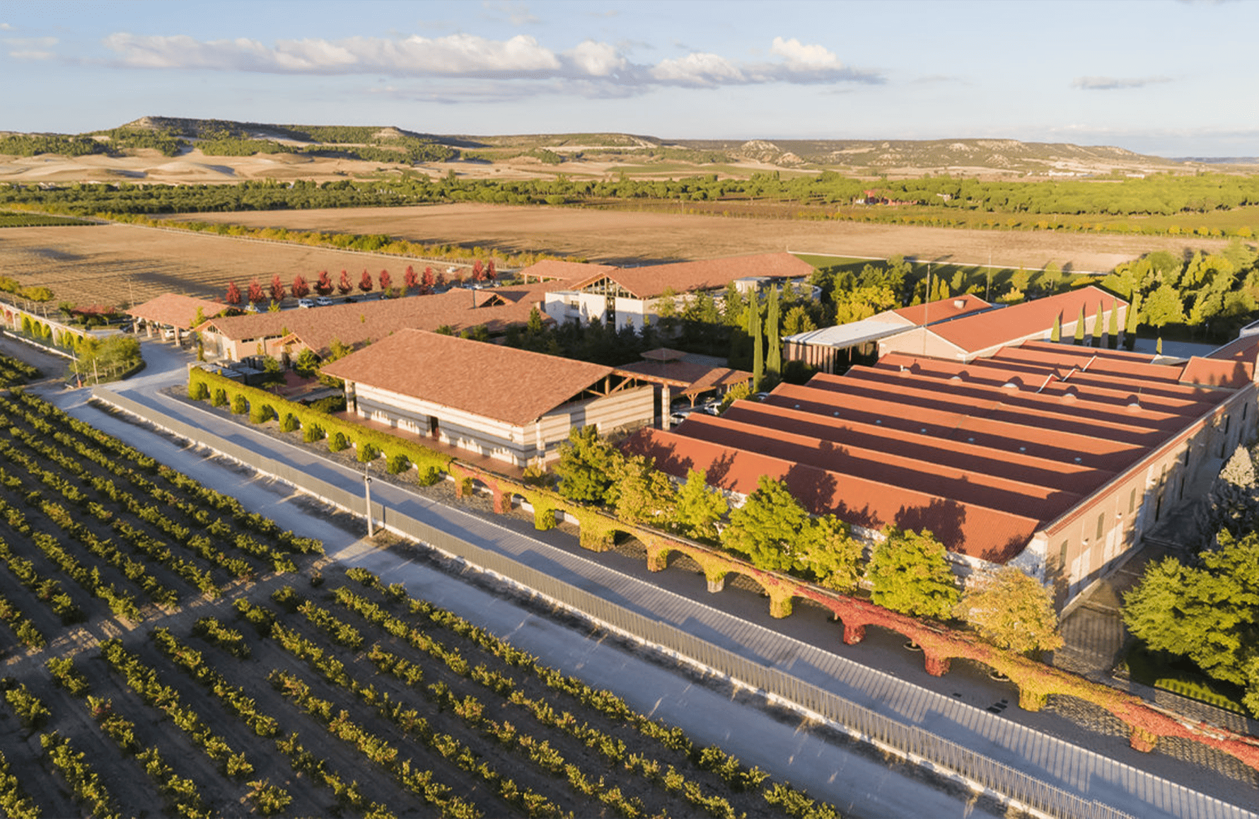 die Geschichte der Vega Sicilia - Spanien