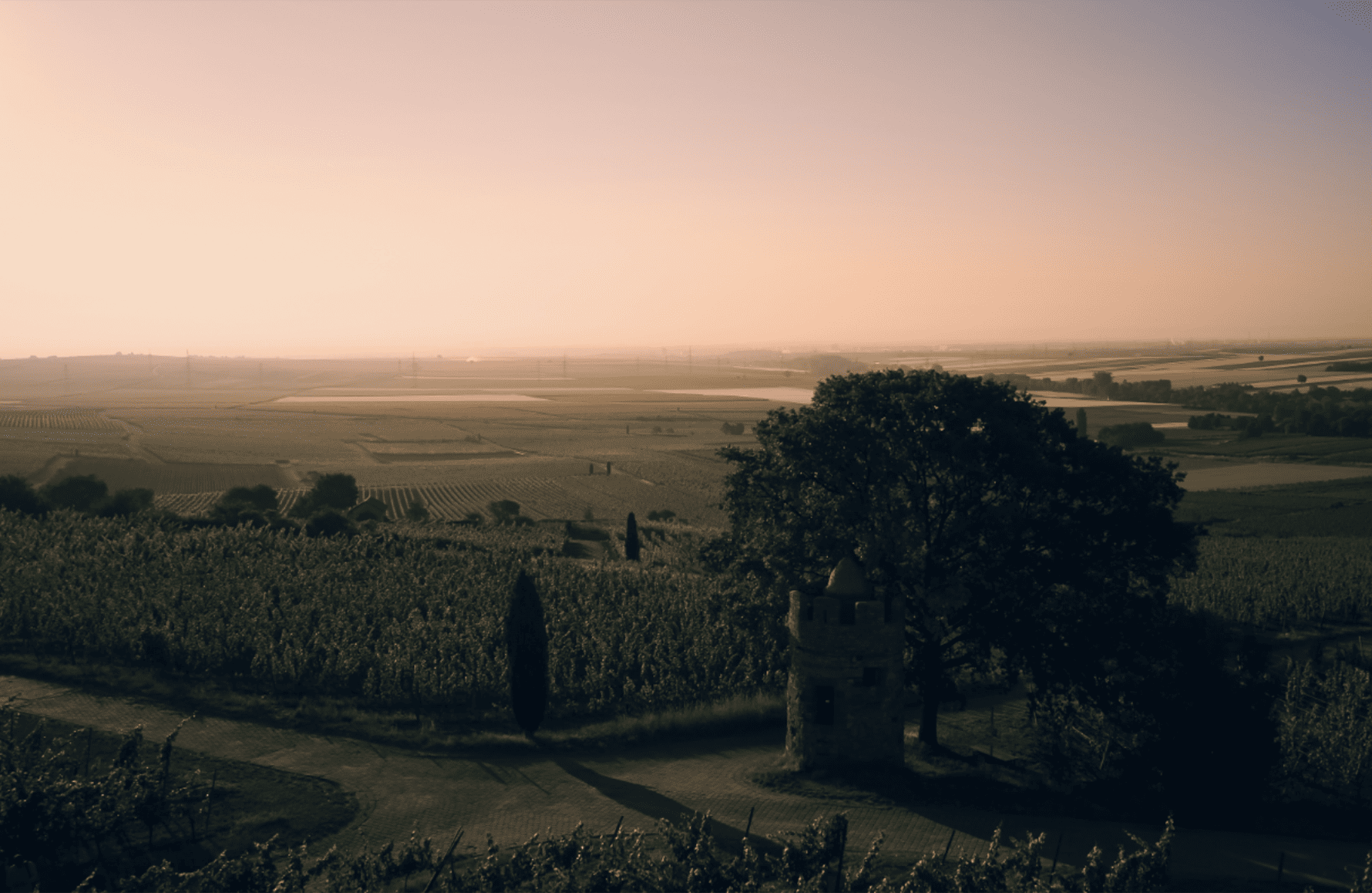 die Geschichte der Weingut Wittmann Deutschland