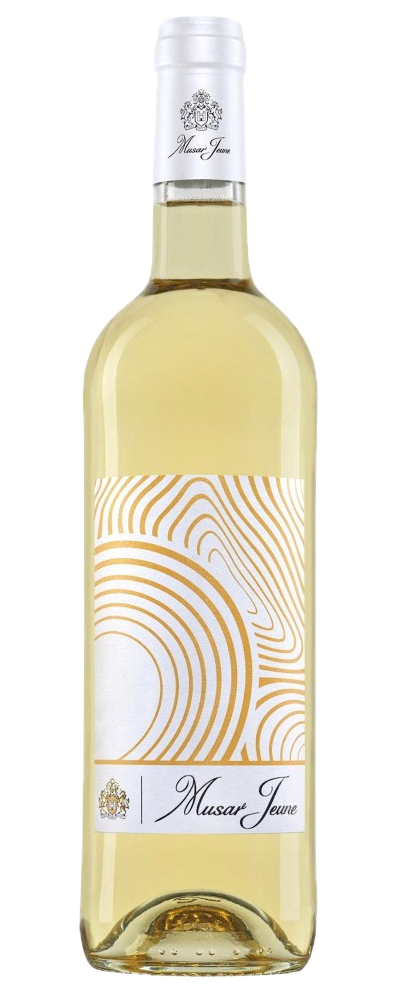 Château Musar - Vallée de la Bekaa Jeune Blanc 2020