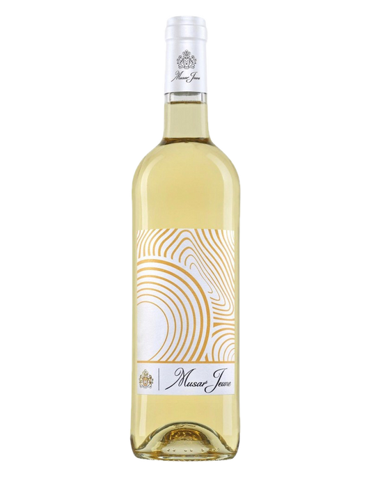 Château Musar - Vallée de la Bekaa Jeune Blanc 2020